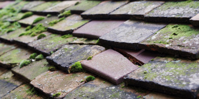 Wharley End roof repair costs